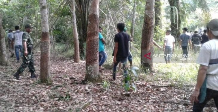 Warga dan TNI buru harimau pemangsa manusia