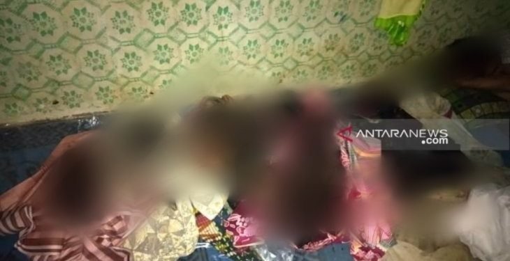 Sisa kayu bakar untuk memasak diduga penyebab lima bocah di Tapsel terpanggang