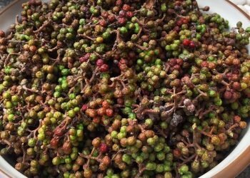 Manfaat Kesehatan Andaliman, Merica Khas Batak