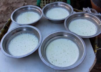 Dali ni Horbo (Susu Kerbau) Kejunya Orang Batak