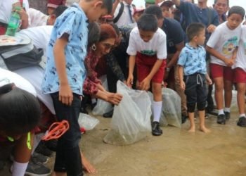 Tingkatkan populasi, Ihan Batak disebar di Danau Toba oleh Menteri Susi Puji Astuti