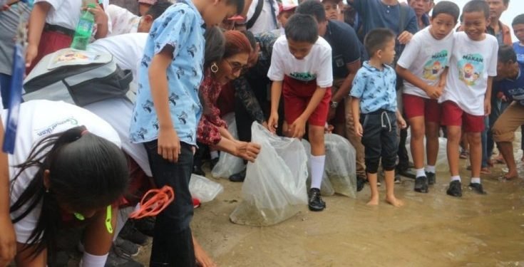 Tingkatkan populasi, Ihan Batak disebar di Danau Toba oleh Menteri Susi Puji Astuti
