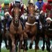 Pacuan Kuda Siborong-borong Salah Satu Destinasi Menarik di Tapanuli
