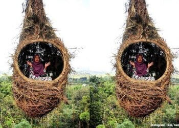 Spot Wisata Ala Sarang Burung di Sidikalang! Ayo Kita Lihat