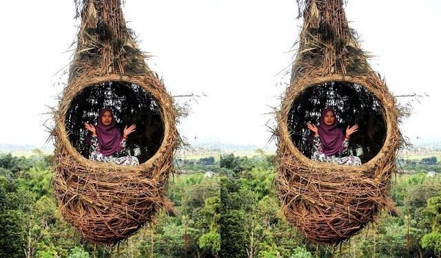 Spot Wisata Ala Sarang Burung di Sidikalang! Ayo Kita Lihat