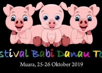 Festival Babi Danau Toba 2019 : Edukasi dan Kegembiraan