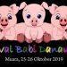 Festival Babi Danau Toba 2019 : Edukasi dan Kegembiraan