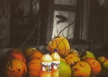 9 Jenis Alkohol Khas Indonesia dengan Kearifan Lokal, Pernah Coba?