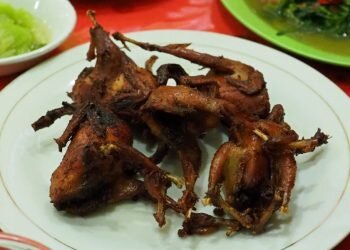 Kuliner Unik Siantar, Burung Goreng, Sate dan Martabak