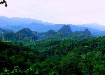 Taman Hutan Raya  Bukit Barisan, Sumatera Utara