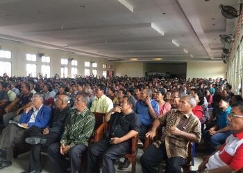 Masyarakat Batak Serukan Selamatkan Babi di Sumatera Utara