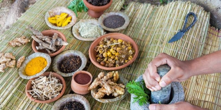 Menguji Klaim Khasiat Jamu Penangkal COVID-19