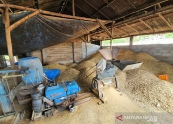 Regal Springs Indonesia  olah limbah ikan jadi pakan ternak