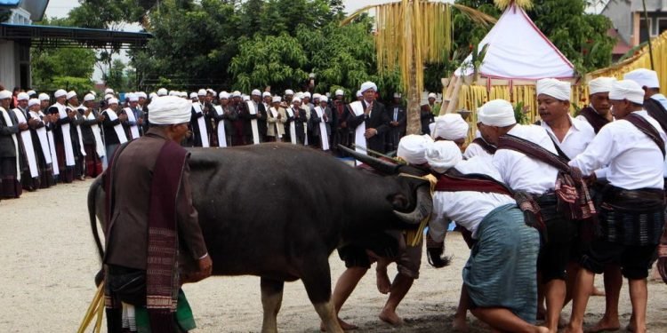 Perpecahan di Tubuh Parmalim