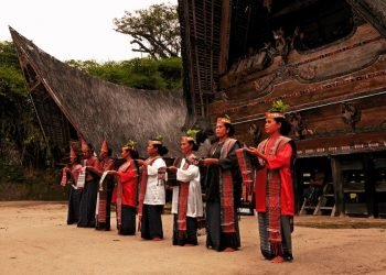 Melanggar Perkawinan Suku Batak, Kerbau Harus Dipotong