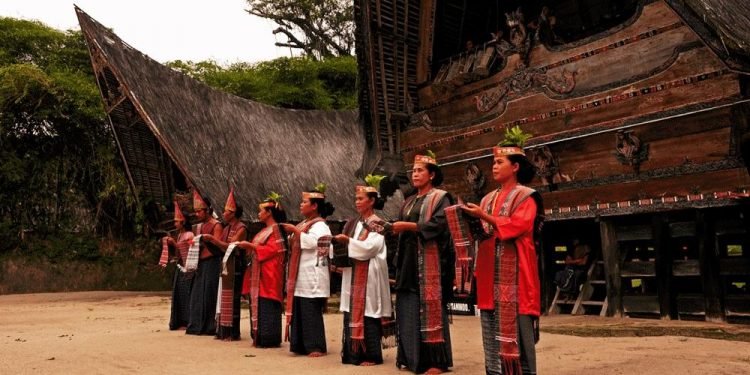 Melanggar Perkawinan Suku Batak, Kerbau Harus Dipotong
