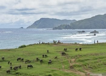 Mengenal lima destinasi wisata super prioritas, salah satunya Danau Toba