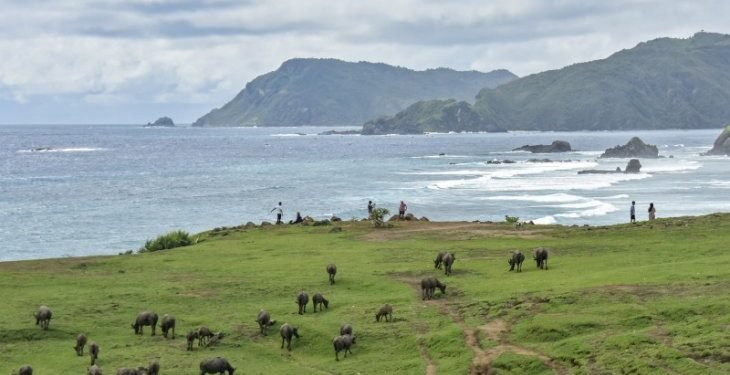 Mengenal lima destinasi wisata super prioritas, salah satunya Danau Toba