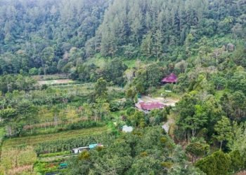 Taman Eden 100 di  Lumban Julu Toba tawarkan edukasi wisata alam