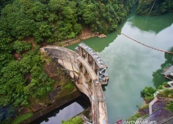 Inalum tanam 500 ribu pohon  hijaukan Danau Toba