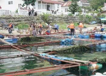 Keramba Jaring Apung di Haranggaol Danau Toba ditertibkan