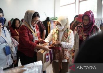 W20 dorong kaum perempuan  aktif kembangkan pariwisata Sumatera Utara